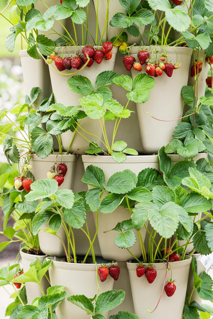 Greenstalk Patented Large 5 Tier Vertical Garden Planter with Patented Internal Watering System