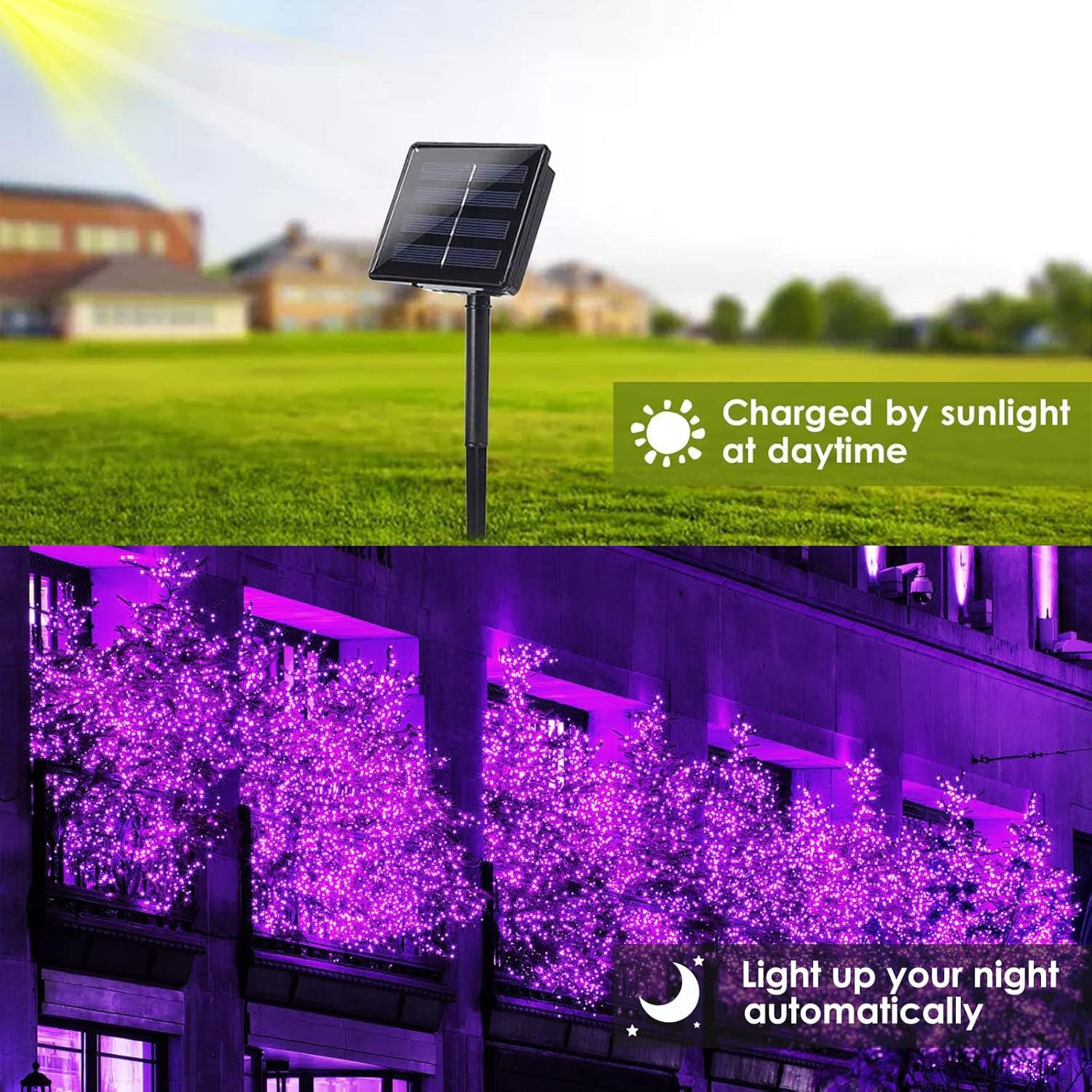 Purple Halloween Solar String Lights Outdoor, 2-Pack 80FT 200LED Solar Twinkle Light Waterproof