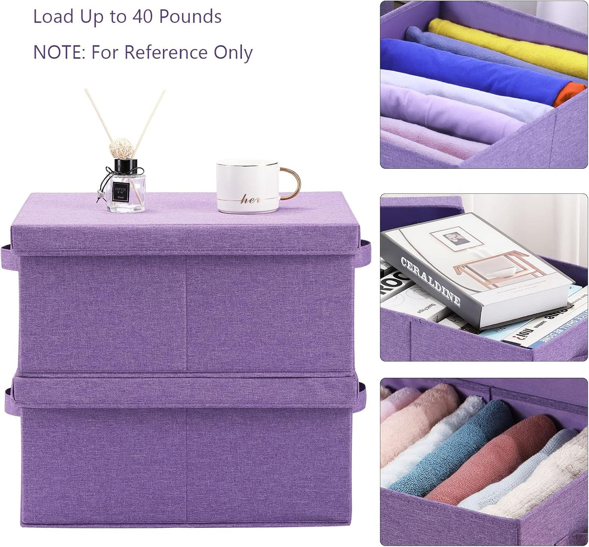 HOONEX Foldable Storage Bins with Lids, Pack of 2, Storage Boxes with 2 Carrying Handles and Sturdy