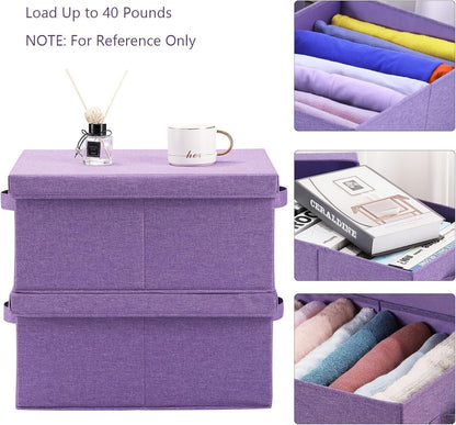 HOONEX Foldable Storage Bins with Lids, Pack of 2, Storage Boxes with 2 Carrying Handles and Sturdy