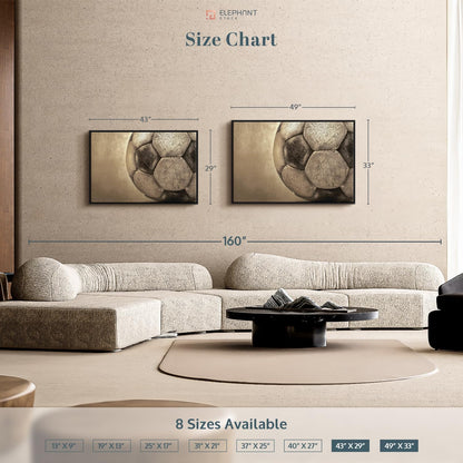 Elephant Stock Worn Soccer Ball Wall Art - Horizontal Framed Canvas - 1-Piece Living Room Wall