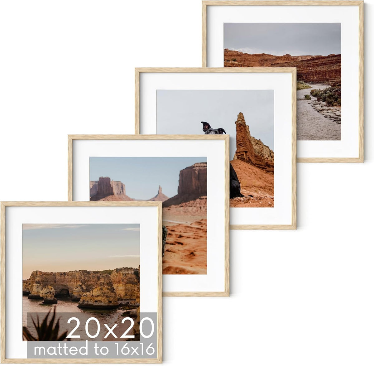 HAUS AND HUES Solid Oak Wood 20”x20” Picture Frames Matted to 16”x16” Set of 4 - Square Frames