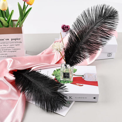 THARAHT Black Ostrich Feathers 24pcs Natural Bulk 8-10Inch 20cm-25cm for Crafts Wedding Party