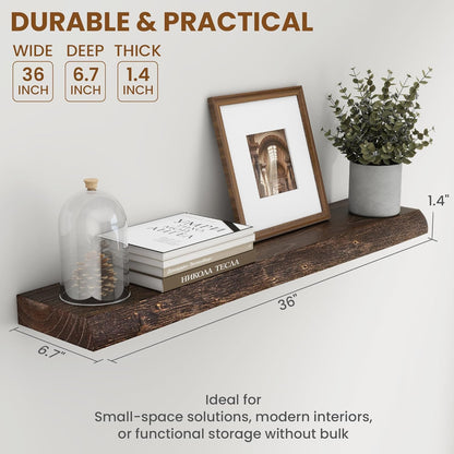 Solid Elm Wood Floating Shelves, 36 Inch Wood Floating Shelves for Wall, Live Edge Wooden Shelves
