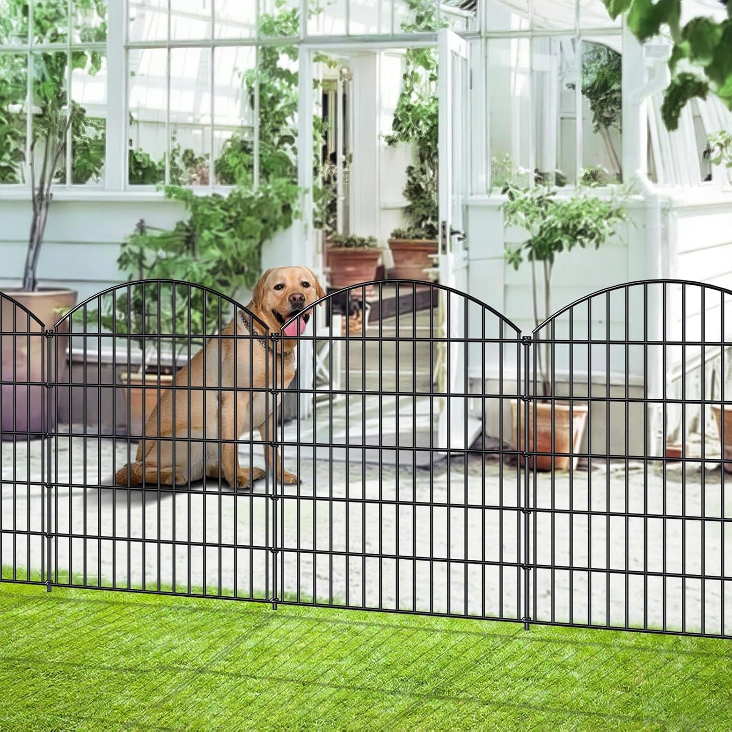 Decorative Metal Garden Fence Outdoor CTW3643, 43.2in H x 14.75 ft L, No Dig Temporary Dog Fence