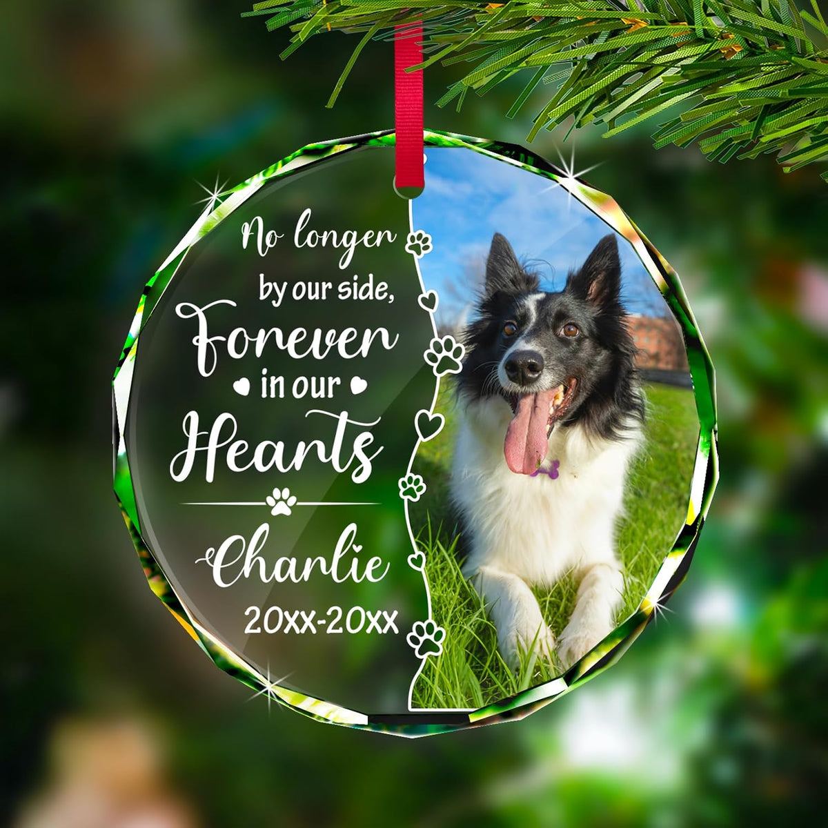 Personalized Memorial Pet Glass Ornament - Custom Picture Christmas Ornaments, Dog Forever in Our