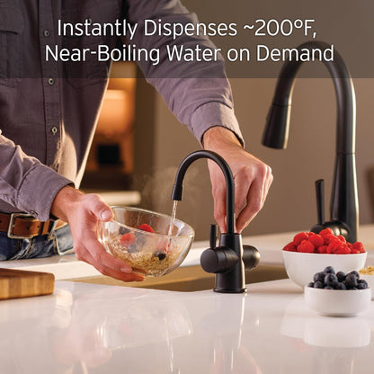 InSinkErator Stainless Steel Tank, HC250MBLK-SS HOT250 System, 2-Handle Drinking Faucet in Matte