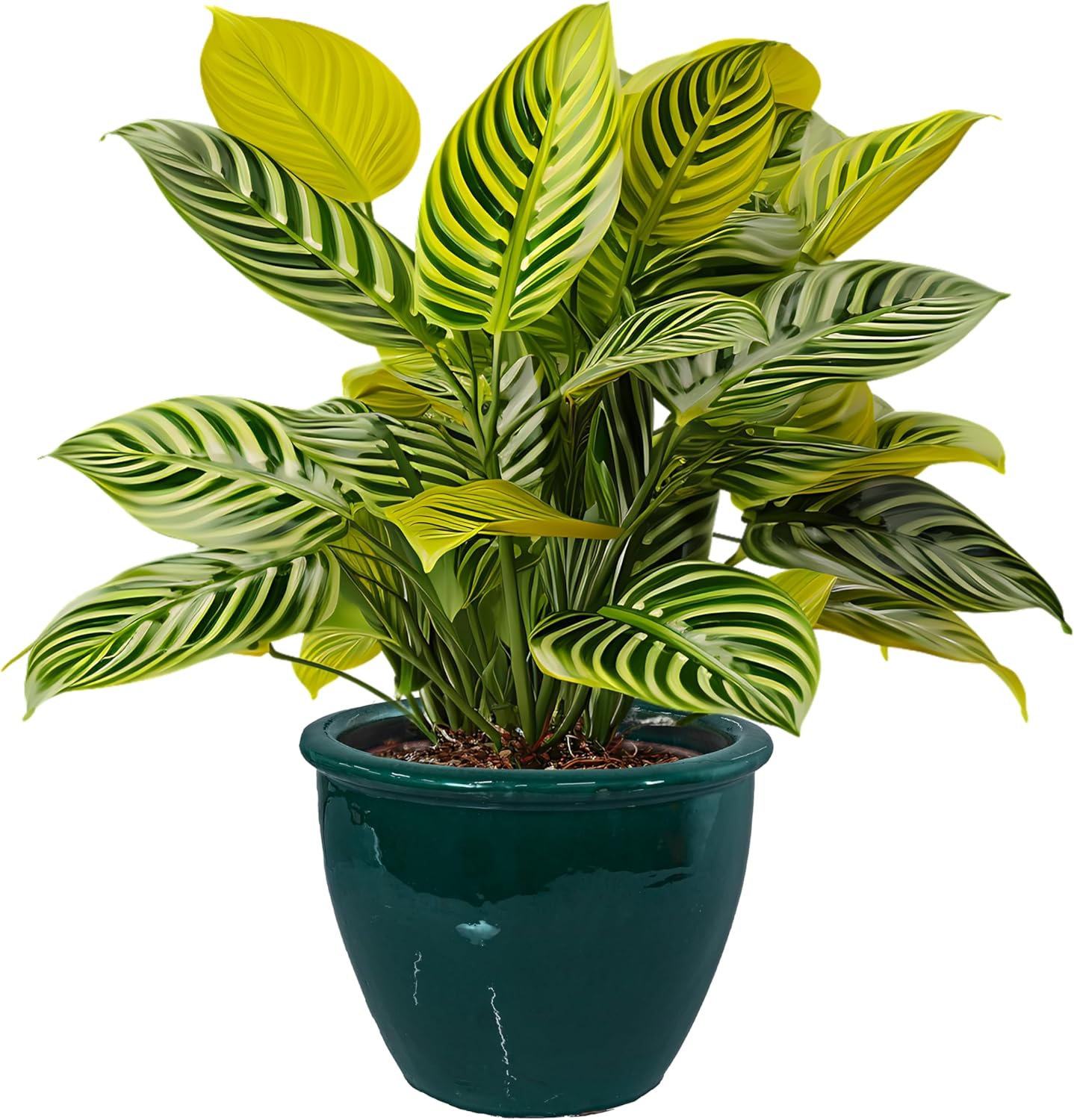 Sunnydaze Chalet Large Ceramic Plant Pot - Round Outdoor Glazed Ceramic Planter Pot with Drainage