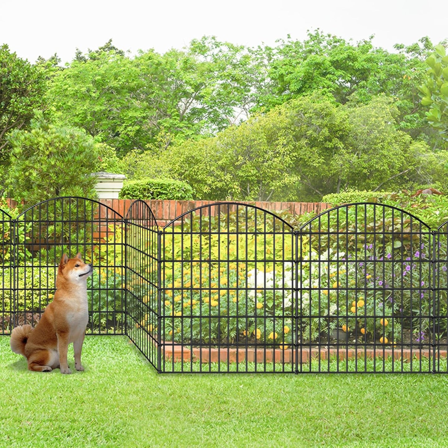 Decorative Metal Garden Fence Outdoor CTW3643, 43.2in H x 14.75 ft L, No Dig Temporary Dog Fence