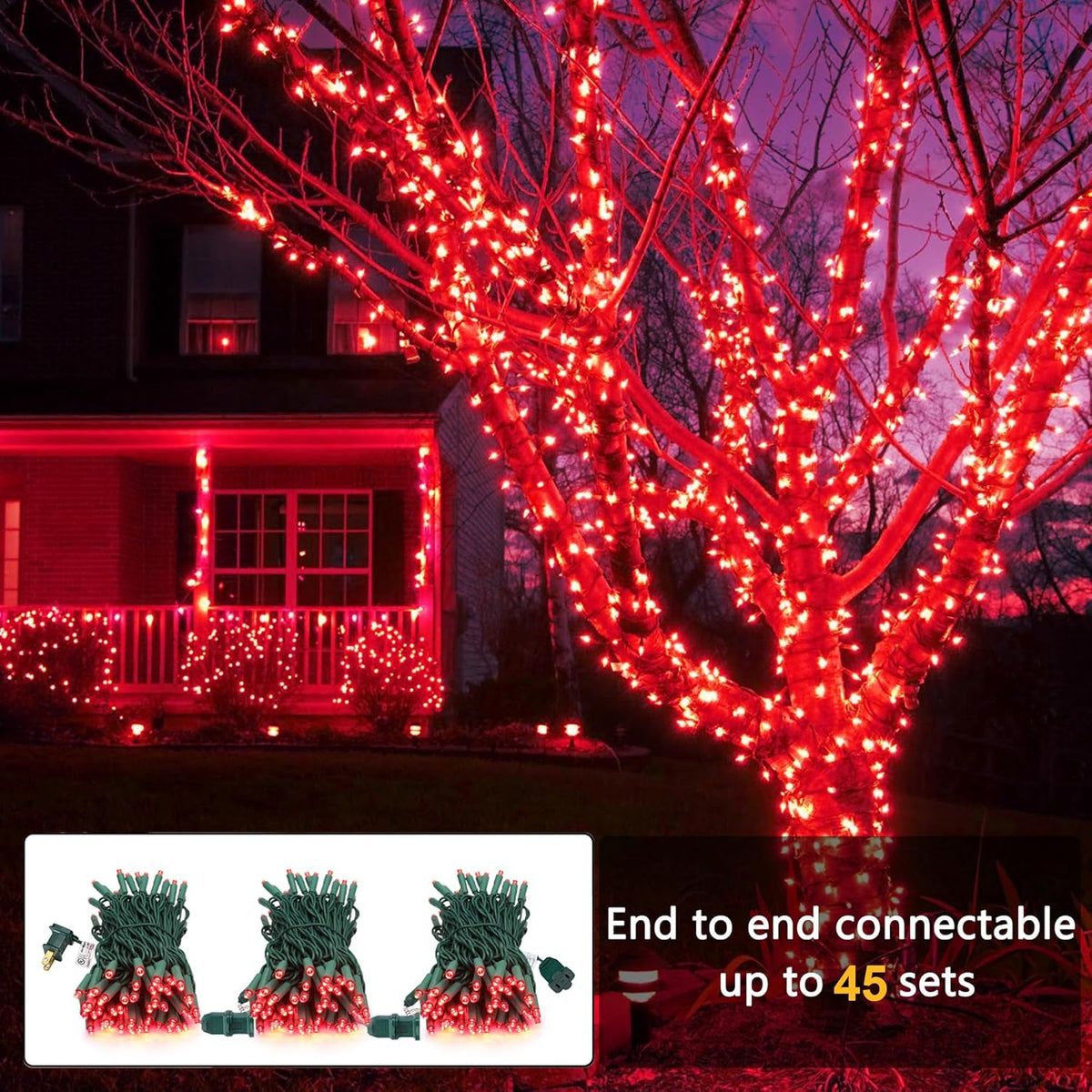 Brizled Red Christmas Lights, 33ft 100 LED Christmas String Lights, 5mm Wide Angle Mini Xmas Tree