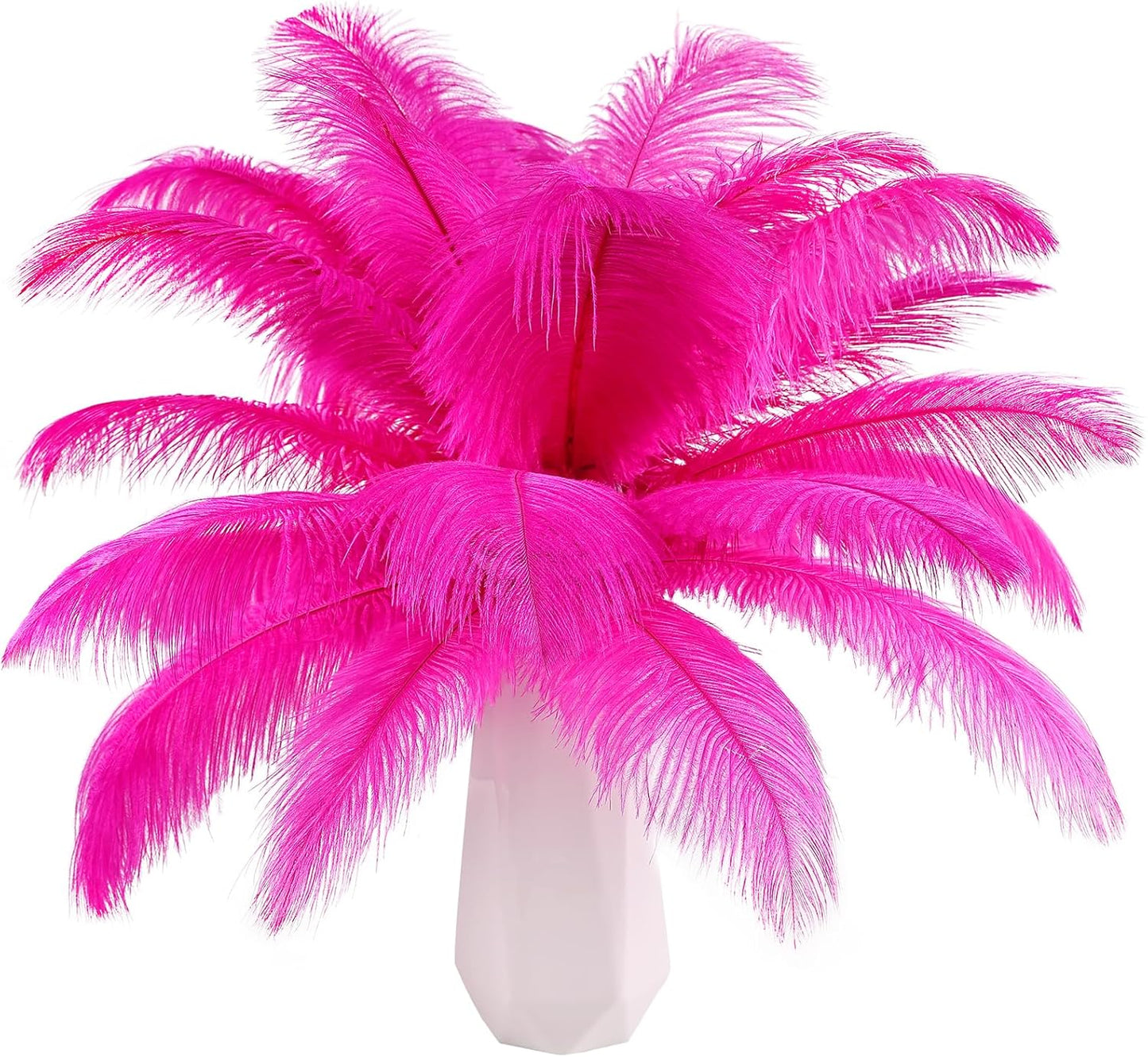 THARAHT Hot Pink Ostrich Feathers 12pcs Natural Bulk 10-12Inch 25cm-30cm for Crafts Wedding Party
