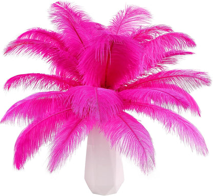 THARAHT Hot Pink Ostrich Feathers 12pcs Natural Bulk 10-12Inch 25cm-30cm for Crafts Wedding Party