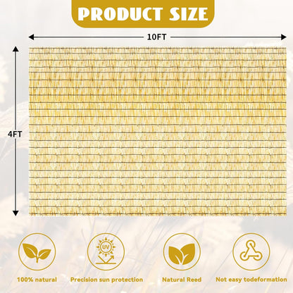 Bamboo Reed Fencing, Natural Bamboo Fence Rolls 4 Feet High, Decorative Reed Screen Privacy