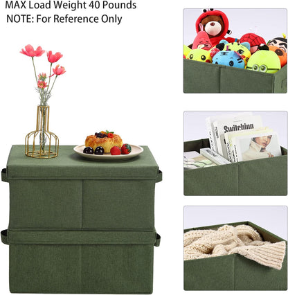 HOONEX Storage Bins with Lids for Organizing, Pack of 2, Storage Boxes with 2 Carrying Handles and