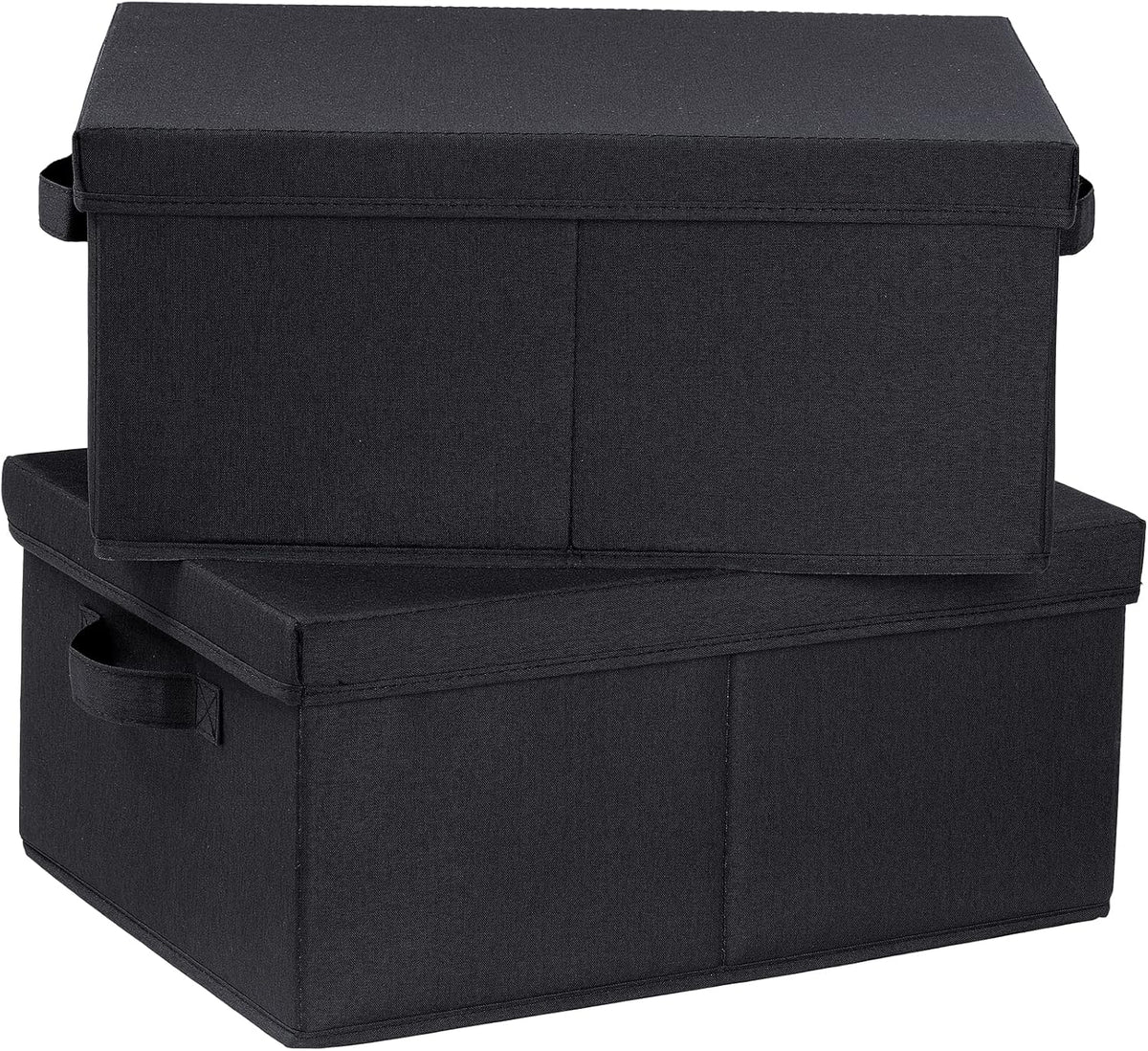 HOONEX Storage Bins with Lids for Organizing, Pack of 2, Storage Boxes with 2 Carrying Handles and