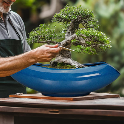 Bonsai Tree Pot 18 Inch - Ceramic Succulent Pots Large Bonsai Planter for Indoor Outdoor Plants