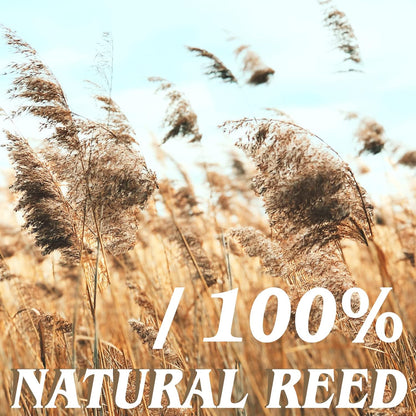 Natural Reed Fencing Rolls,5.5FT X 16.4FT Reed Screen Curtain Fence Covering Privacy Bamboo for