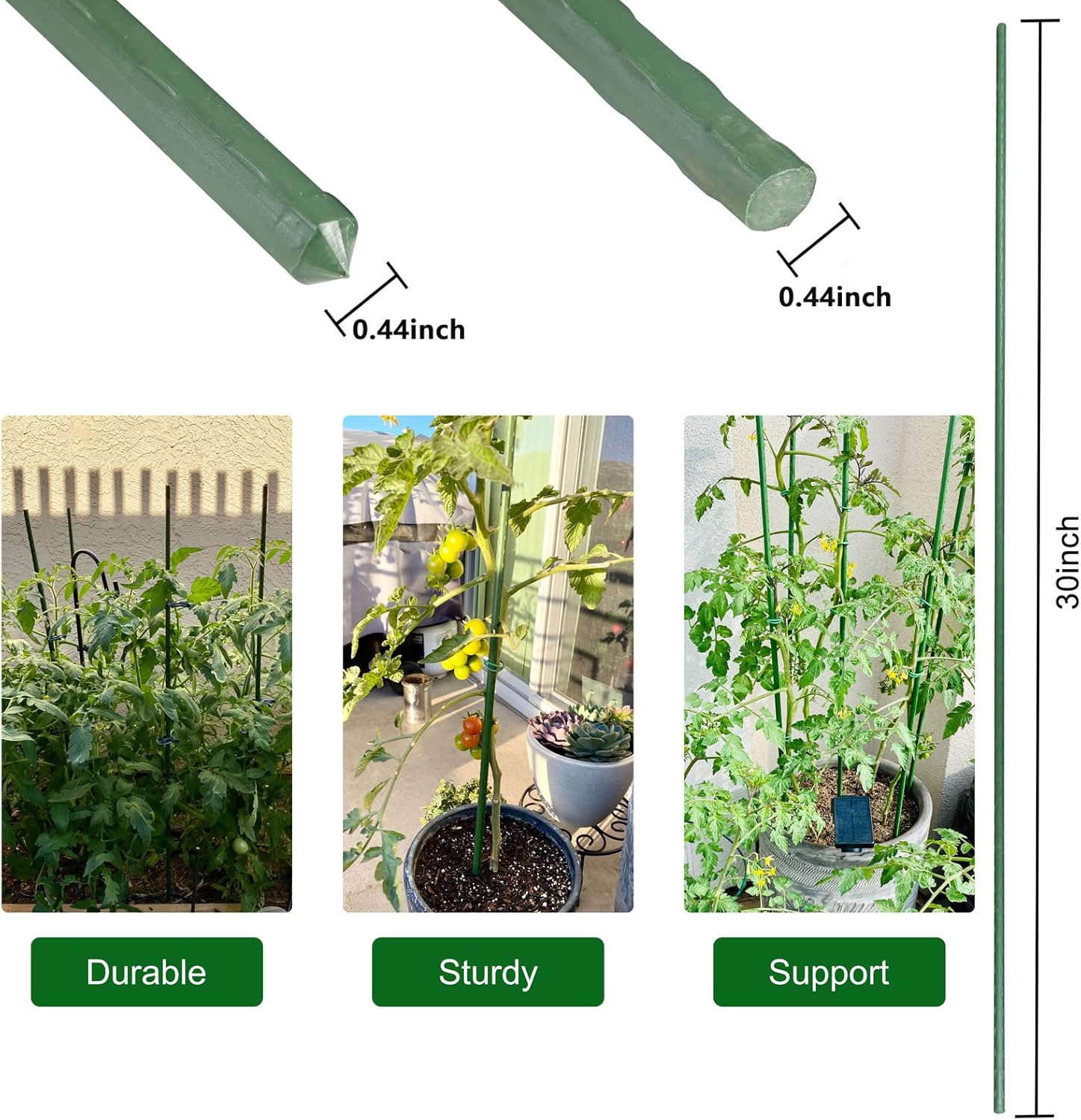Garmeinea Garden Stakes 30 Inches Plastic Coated Steel Plant Stakes for Growing Climbing Plants