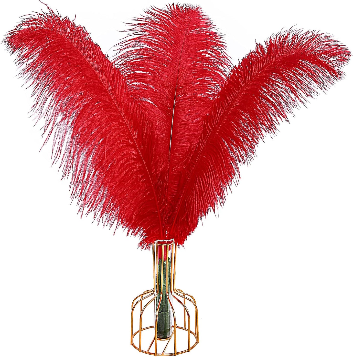 THARAHT Red Ostrich Feathers 12pcs Large Natural Bulk 16-18Inch 40cm-45cm for Wedding Party