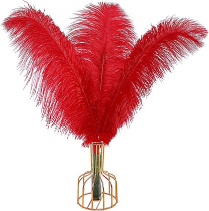 THARAHT Red Ostrich Feathers 12pcs Large Natural Bulk 16-18Inch 40cm-45cm for Wedding Party