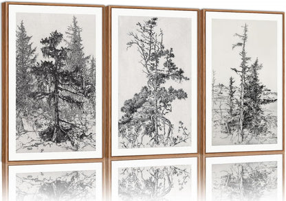 SIGNINART Vintage Tree Framed Wall Art Set , Black and White Antique Sketchbook Forest Painting