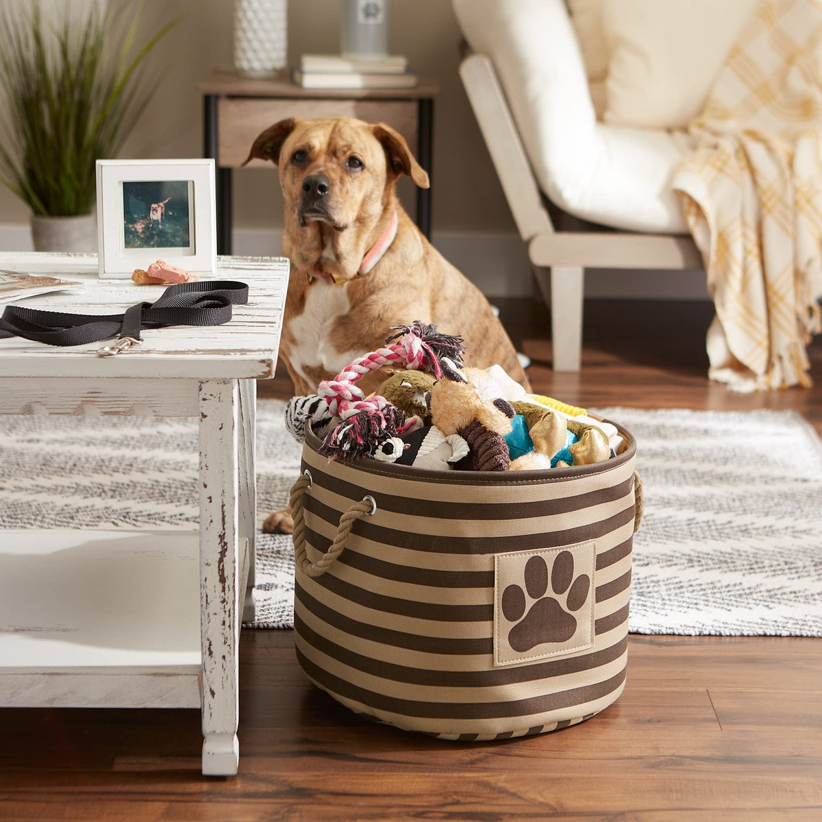 Bone Dry Pet Storage Collection Striped Paw Patch Bin, Medium Round, Brown
