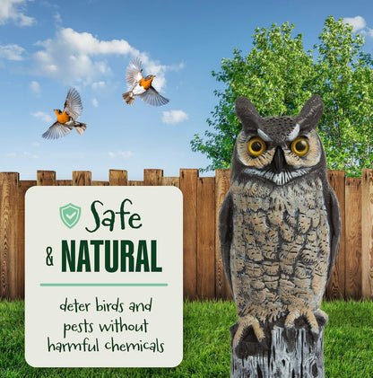 Dalen Large Fake Owl Decoy to Scare Birds Away - Garden Scarecrow Provides Natural Pest Control