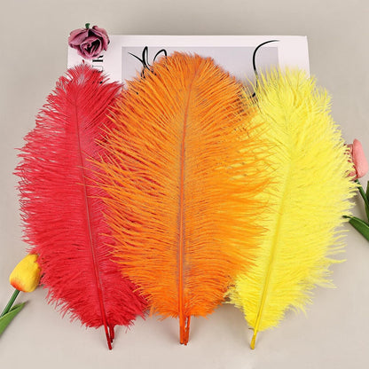 THARAHT Red Orange Yellow Ostrich Feathers 12pcs Natural Bulk 8-10Inch 20cm-25cm for Crafts Wedding