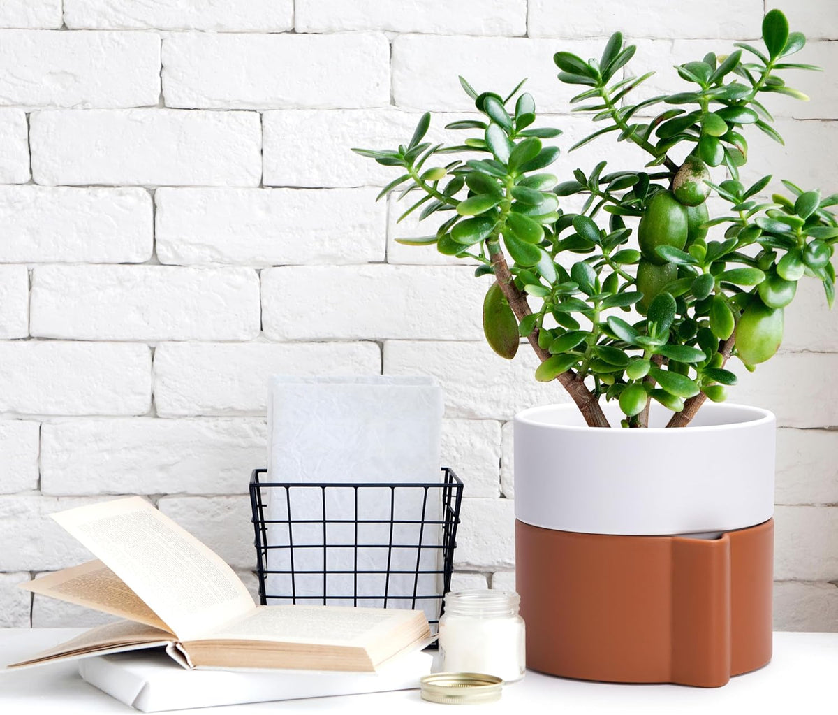 6.5 Inch Self-Watering Planter Pot with Terracotta Insert, Deep Water Reservoir, and Ceramic-Alike