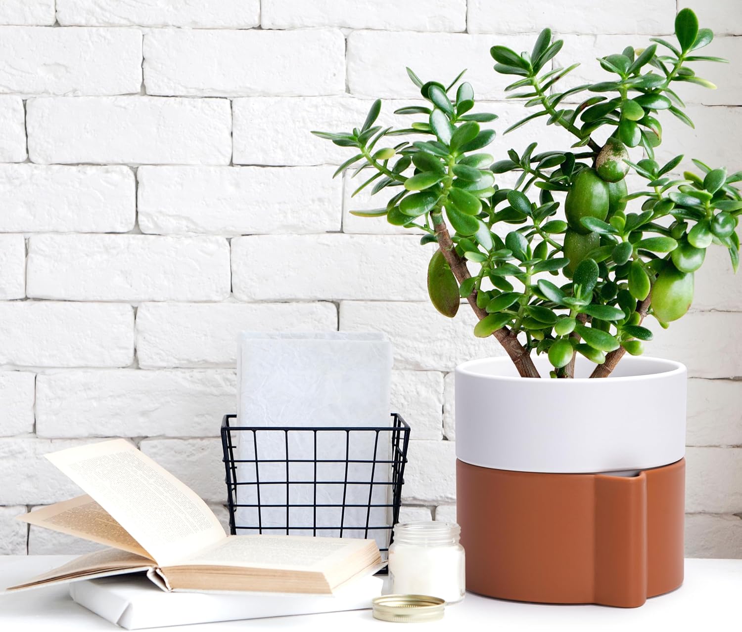 6.5 Inch Self-Watering Planter Pot with Terracotta Insert, Deep Water Reservoir, and Ceramic-Alike