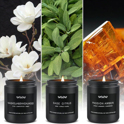 6 Pack Candles for Home Scented Aromatherapy Candles Gifts Set for Mens, Men Candle Set, 42 oz 300
