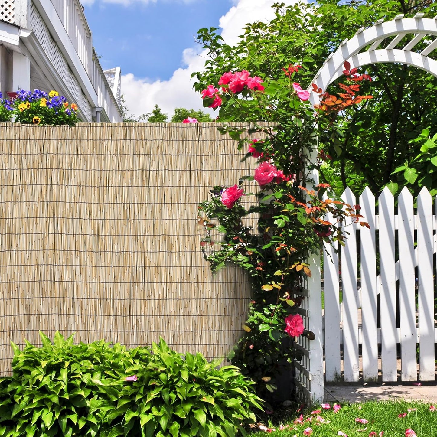 Natural 2 Pack 4FT X 16.4FT Reed Fencing Roll, Balcony Privacy Shade Reed Bamboo Fencing Garden
