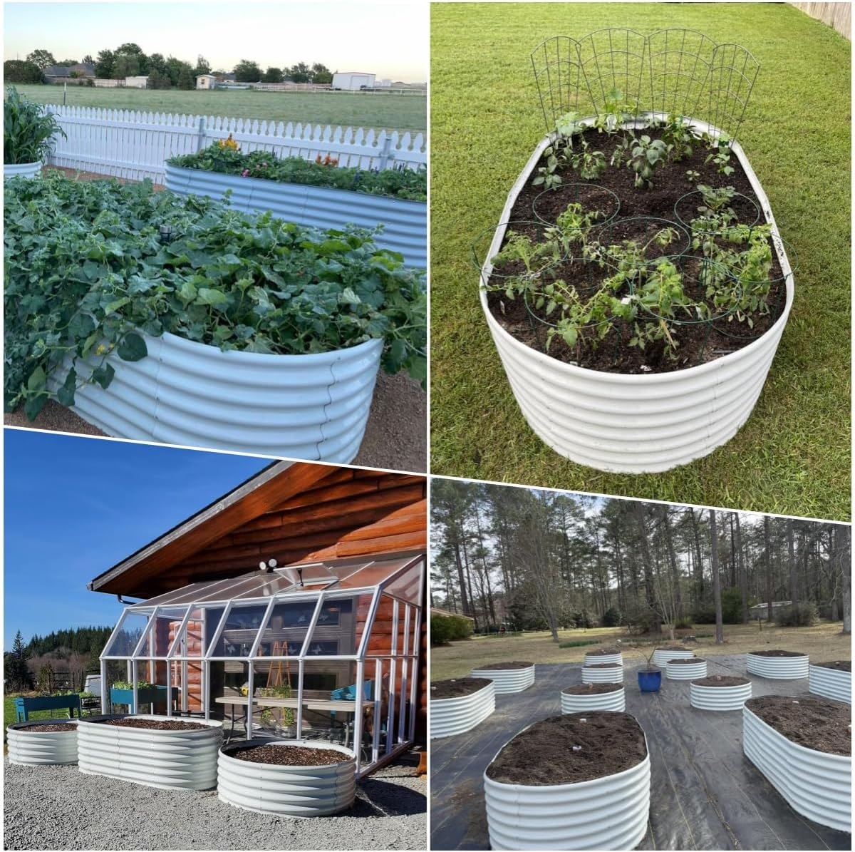 A ANLEOLIFE 6X3X2 ft Galvanized Raised Garden Beds Outdoor-8 Pack, Oval Large Metal Deep Root