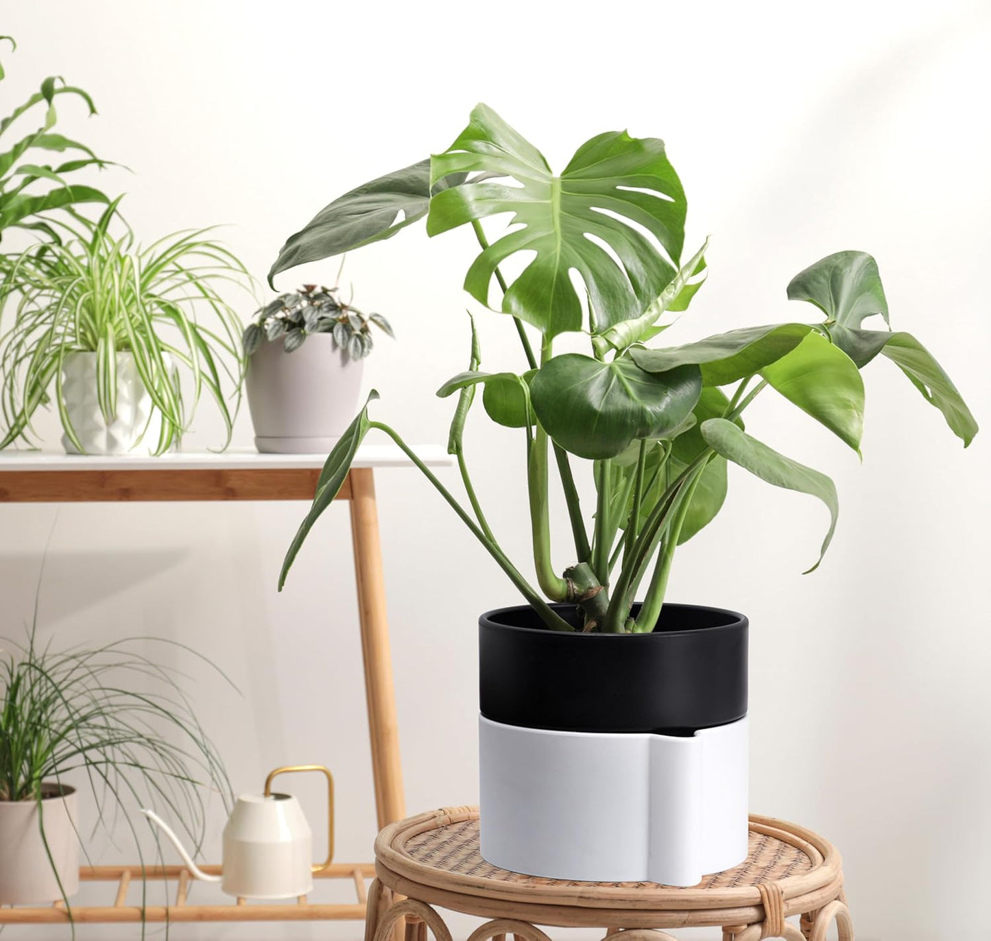 8 Inch Self-Watering Planter Pot with Terracotta Insert, Deep Water Reservoir, and Ceramic-Alike