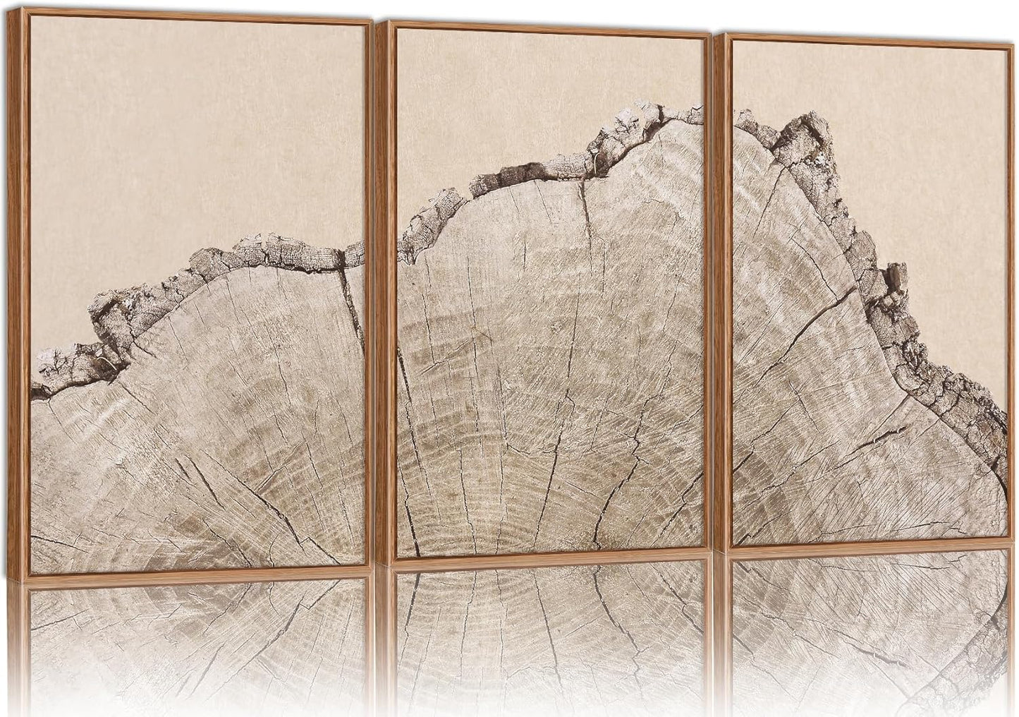 SIGNINART Large Tree Ring Framed Canvas Wall Art Set, Rustic Beige Wooden Wall Decor, Neutral