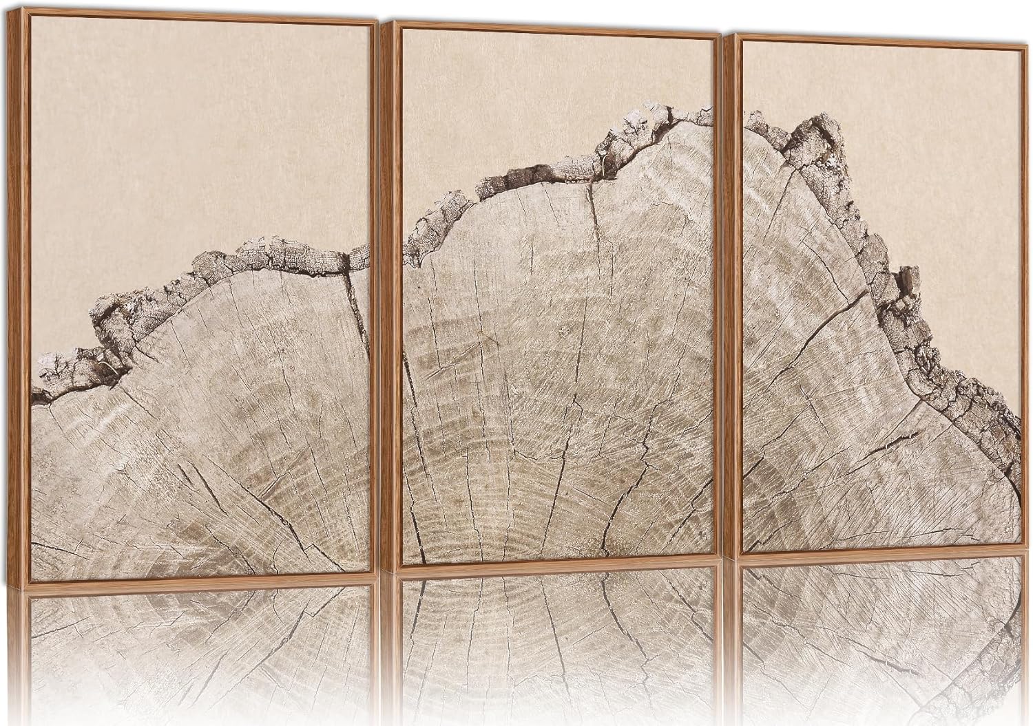 SIGNINART Large Tree Ring Framed Canvas Wall Art Set, Rustic Beige Nature Wooden Wall Decor