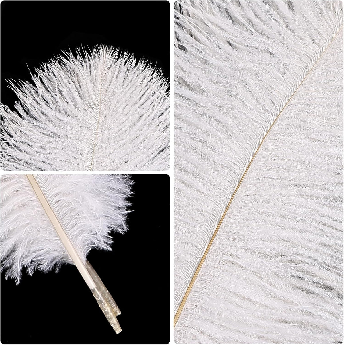 THARAHT White Ostrich Feathers 12pcs Natural Bulk 8-10Inch 20cm-25cm for Crafts Wedding Party