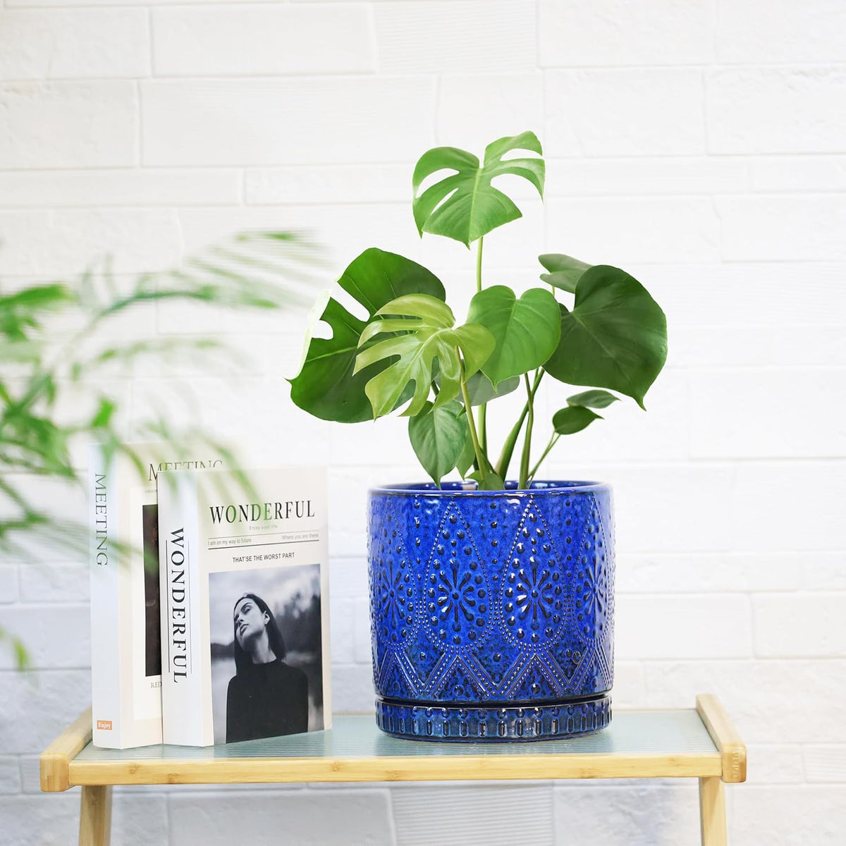 8 Inch + 6 Inch Indoor Plant Pot with Drainage Holes and Saucers, Ceramic Planter for Plants