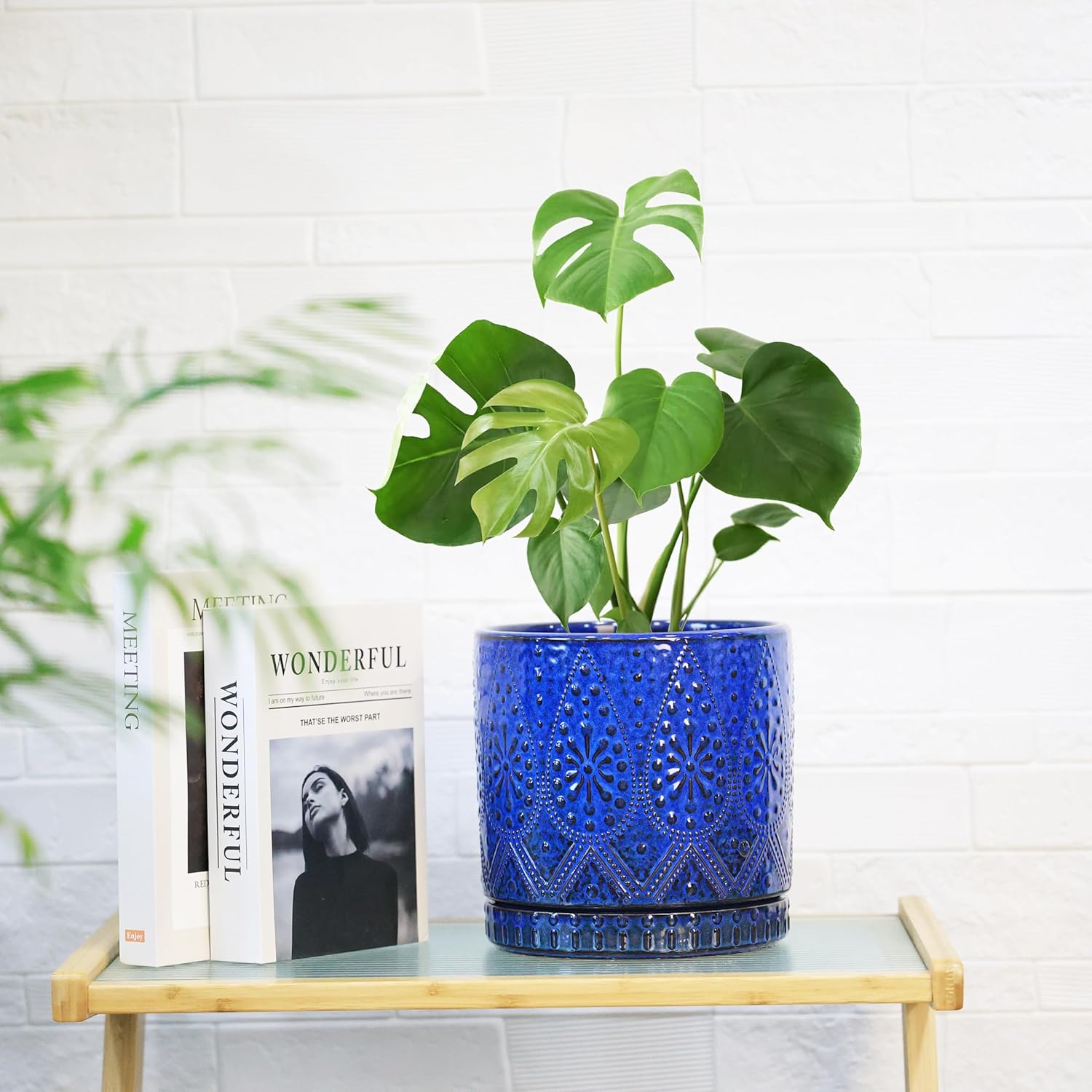8 Inch + 6 Inch Indoor Plant Pot with Drainage Holes and Saucers, Ceramic Planter for Plants