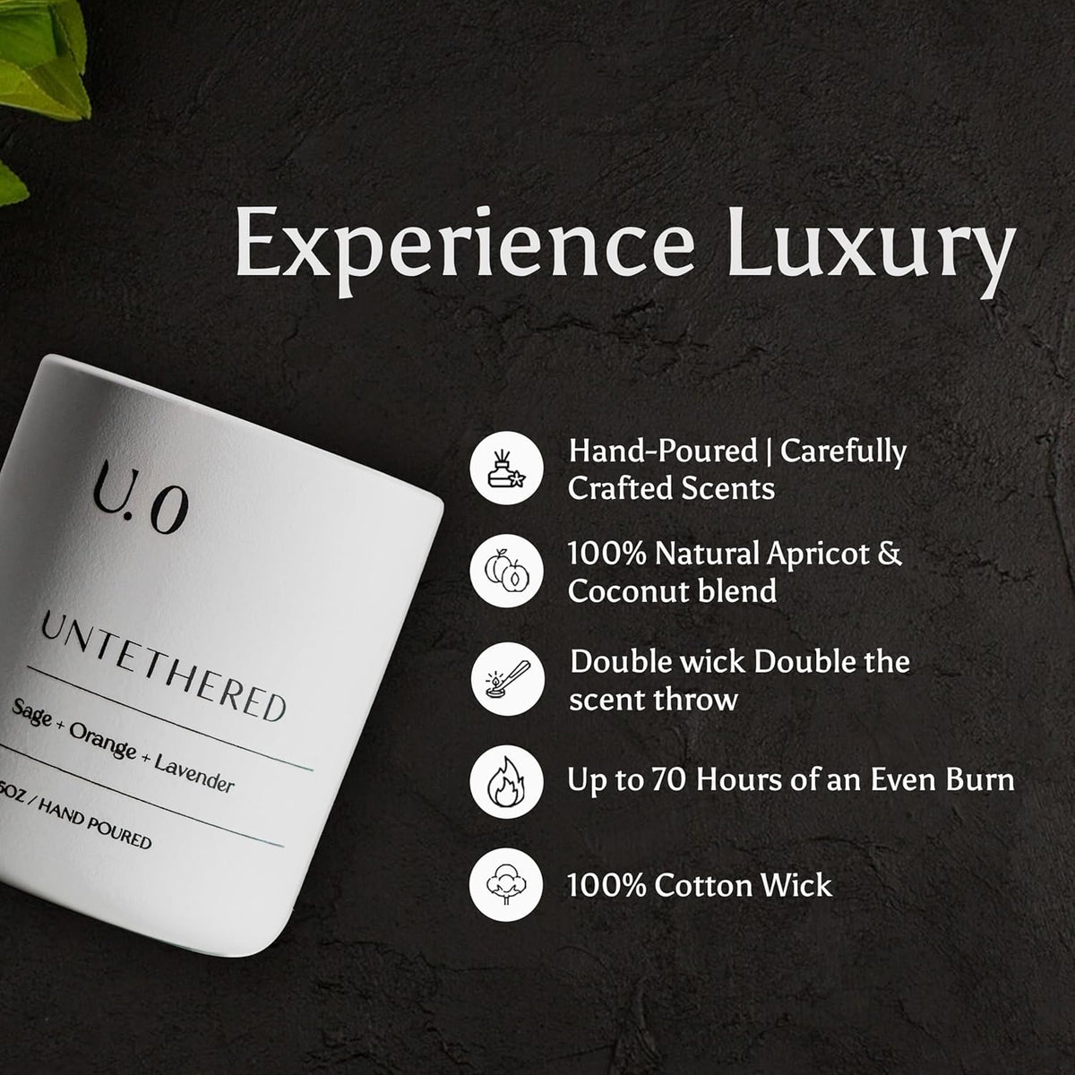 U.0 Luxury Scented Candle – Sage, Orange & Amber | Hand-Poured in USA with 100% Natural Coconut &