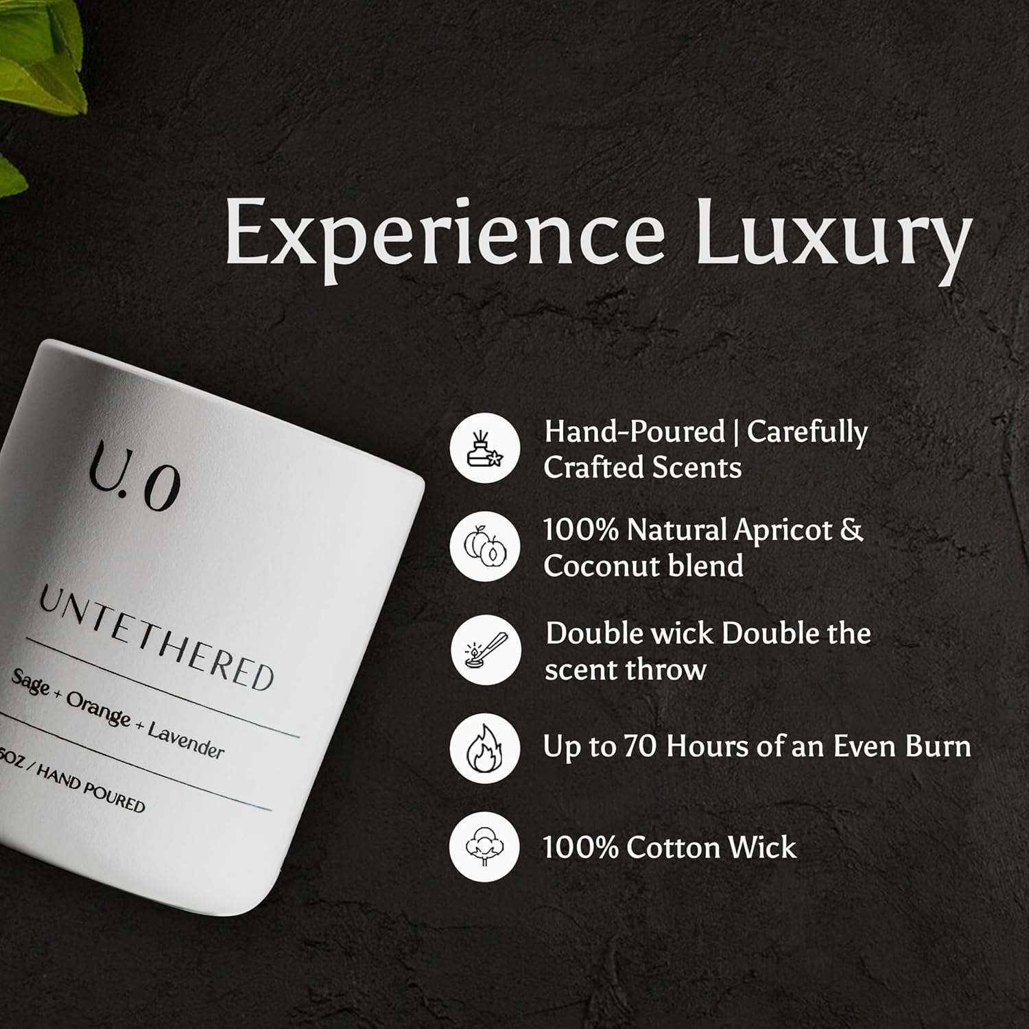 U.0 Luxury Scented Candle – Sage, Orange & Amber | Hand-Poured in USA with 100% Natural Coconut &