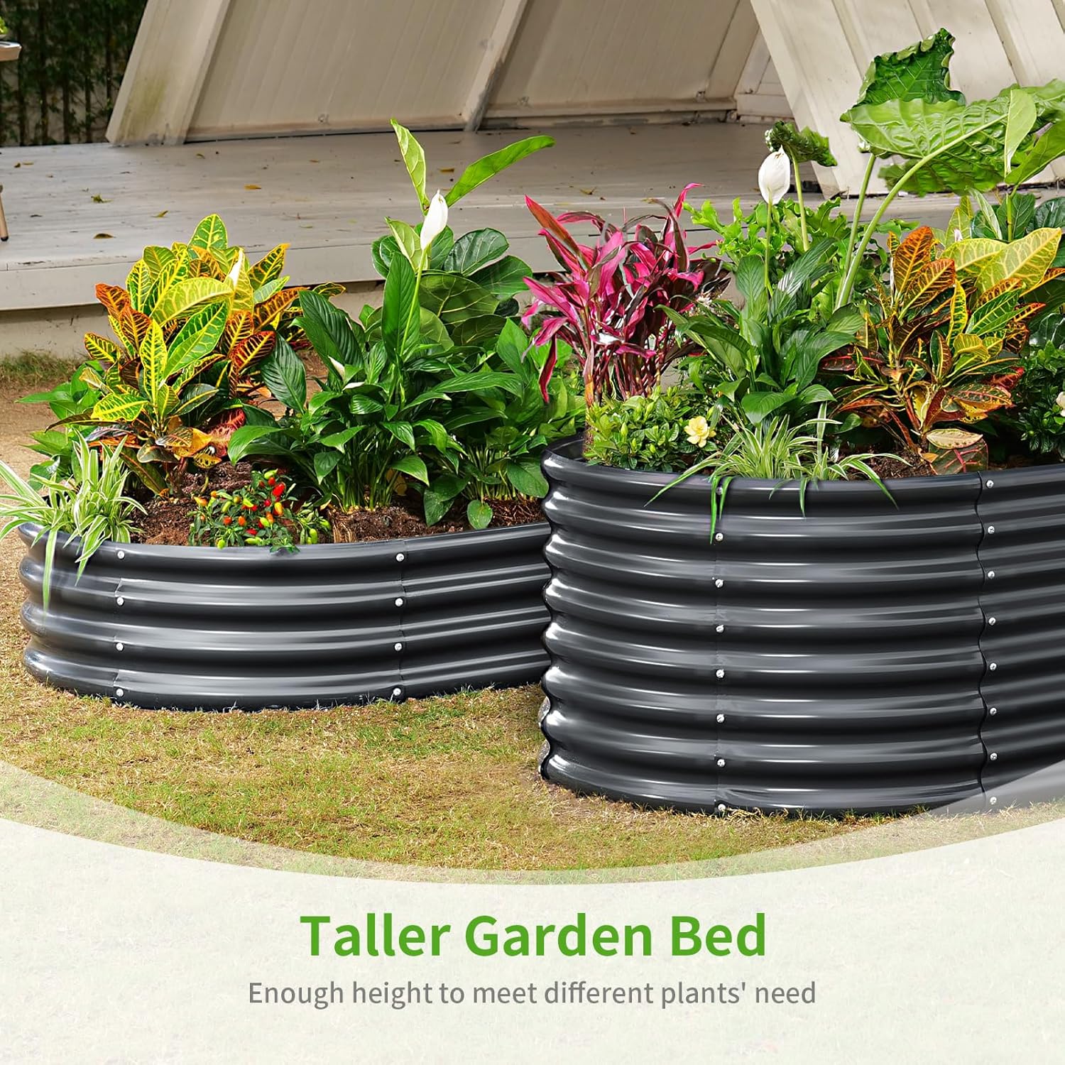 Land Guard Galvanized Metal Raised Garden Bed Kit, 8x4x1.5ft Large Planter Boxes Outdoor, Oval