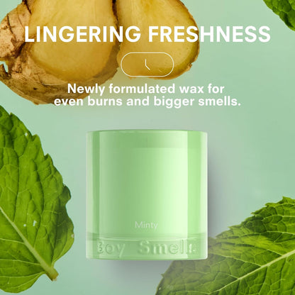 Boy Smells Mint Candle - 8.5 oz Fancy Candle with Ginger, Wild Mint, and Cedarwood- Up to 50-Hour