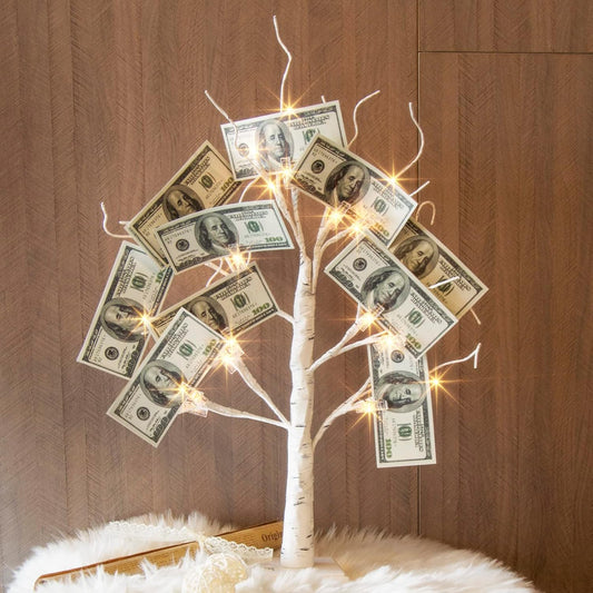 EAMBRITE Money Tree Gift Holder, Lighted Birch Tree 2FT 24LED, Battery/USB Powered Timer Light Up