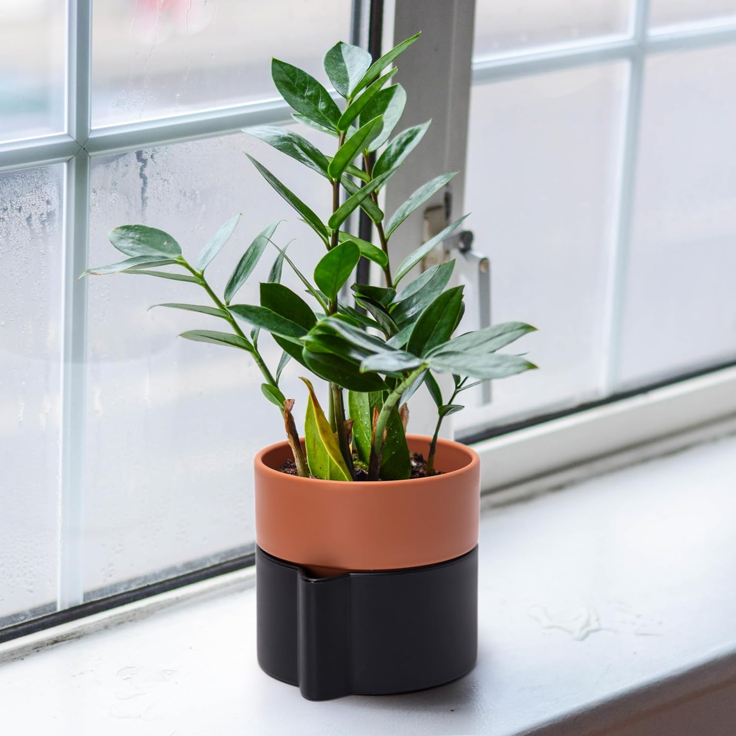 6.5 Inch Self-Watering Planter Pot with Terracotta Insert, Deep Water Reservoir, and Ceramic-Alike