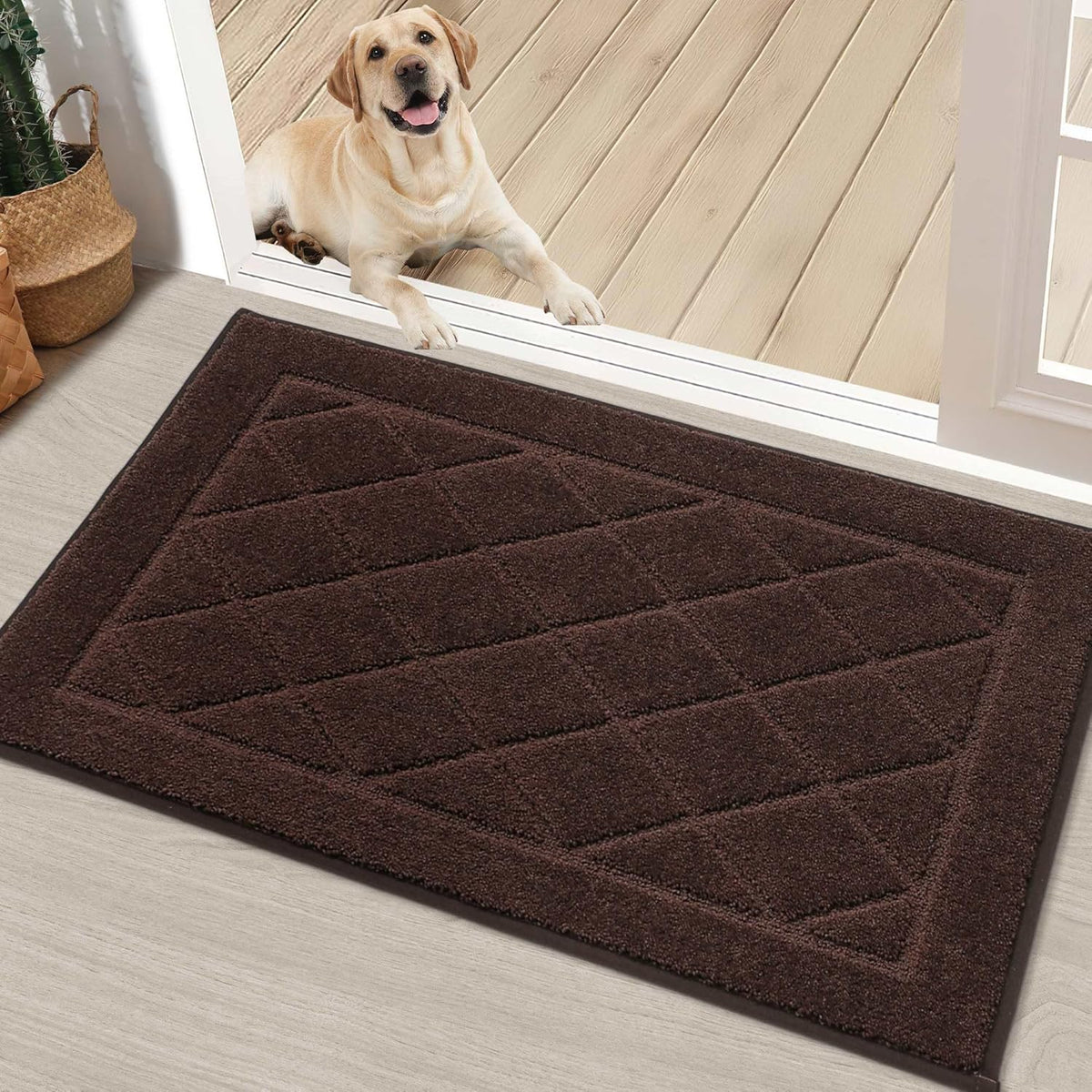 BEQHAUSE Dirt Trapper Door Mat 20" x 32", Doormat Non-Slip Entryway Rugs Washable, Dog Door Mat