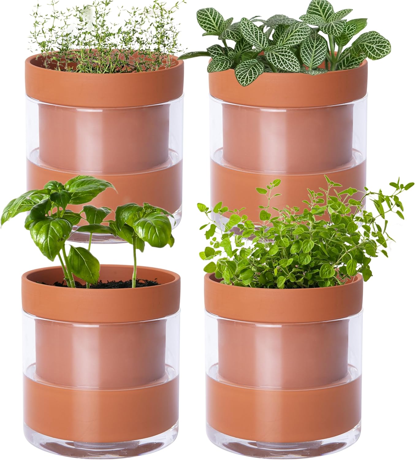 Phoenix Vine 4 Inch Self Watering Planter Pot, Terracotta Clay Pot with Glass Reservoir for Indoor