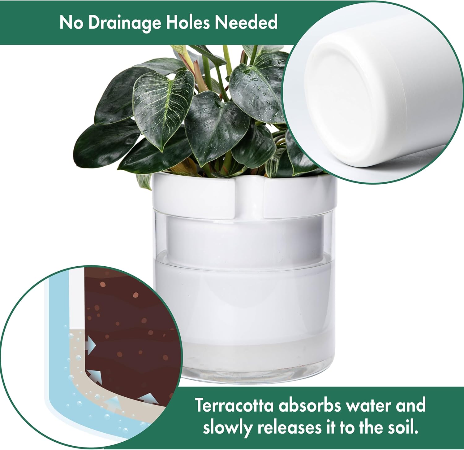 Phoenix Vine 10 Inch Self Watering Planter, White Terracotta Clay Pot with Glass Reservoir for