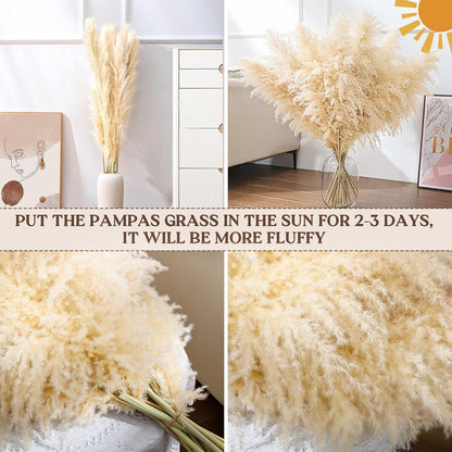 40" 33PCS Dried Pampas Grass Decor Tall,Large Natural Beige pompas Grass Tall Pampas Grass for
