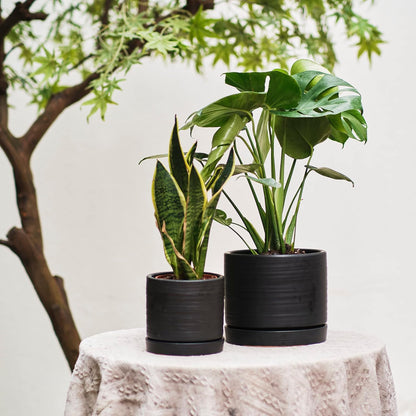 6 + 8 Inch Plant Pots, Ceramic Planter Pot with Drainage Hole & Saucer, Indoor/Outdoor Cylinder